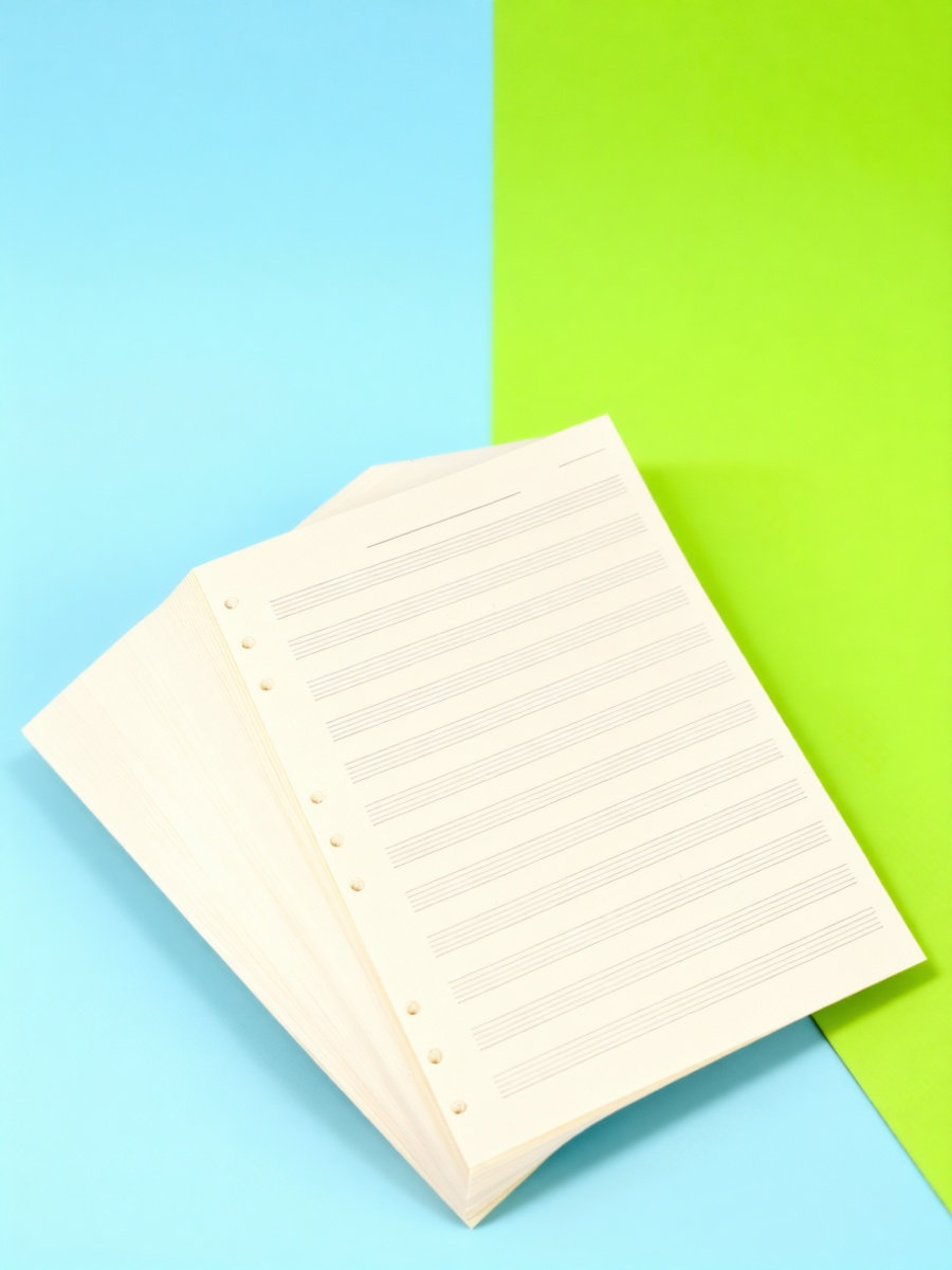 Blank Sheet Music Notebook - 100 fogli di carta per manoscritti